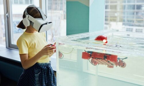 Robotics in Virtual Reality